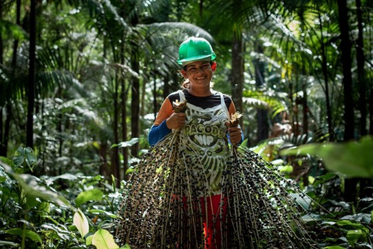 O que o cooperativismo está fazendo pelo meio ambiente?