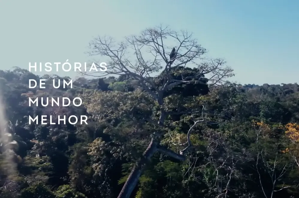 captura de tela 2025 12 05 165235 486dd