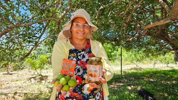 5 motivos para a Geração Z conhecer o cooperativismo