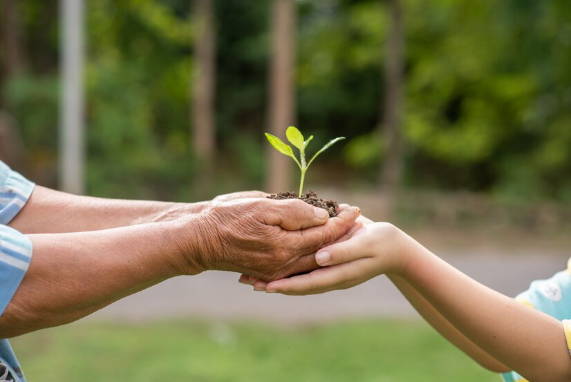 Mãos de duas pessoas segurando uma muda de planta